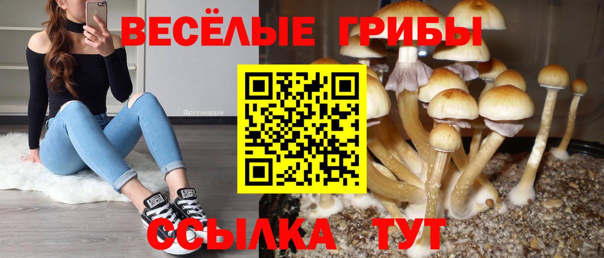 Галлюциногенные грибы MAGIC MUSHROOMS  Вход с VPN  Псилоцибиновые грибы мухоморы  Ишимбай 
